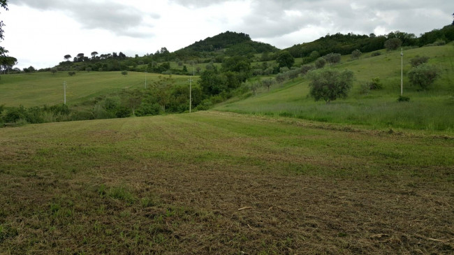 Terreno Agricolo in Vendita a Ascoli Piceno