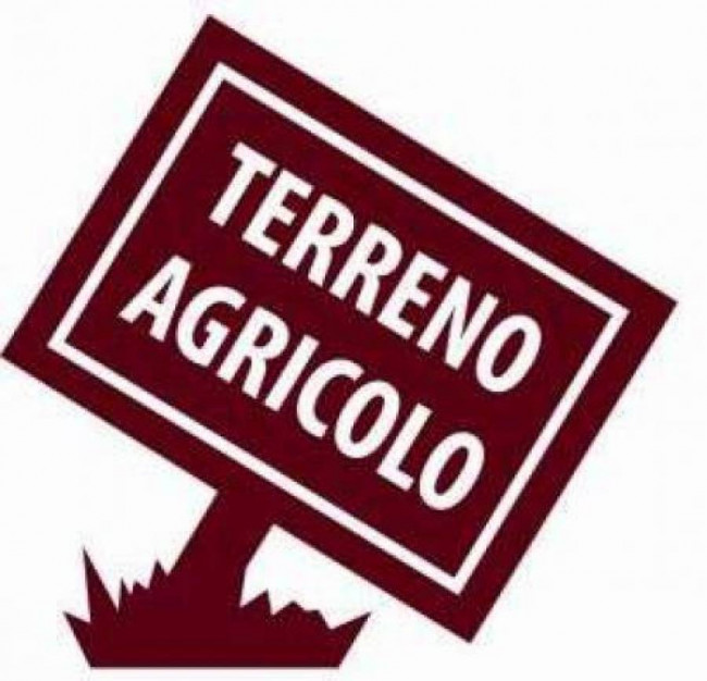 Terreno Agricolo in Vendita a Castel di Lama