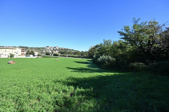 Casa indipendente in vendita a Ascoli Piceno (AP)