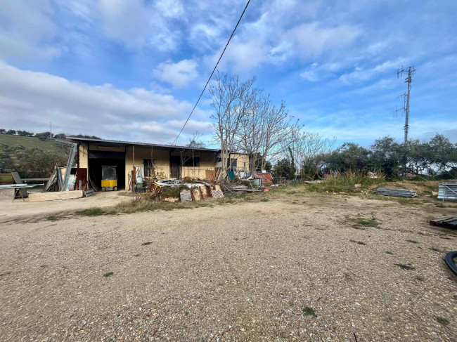 Capannone in Vendita a San Benedetto del Tronto