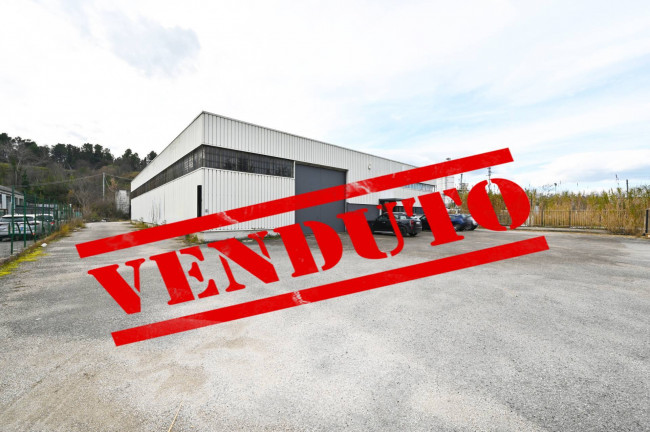 Capannone in Vendita a Maltignano