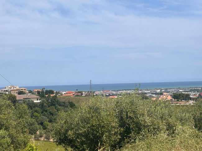 Terreno Agricolo in Vendita a Monteprandone