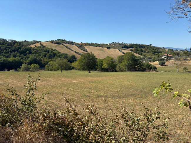 Terreno Agricolo in Vendita a Controguerra