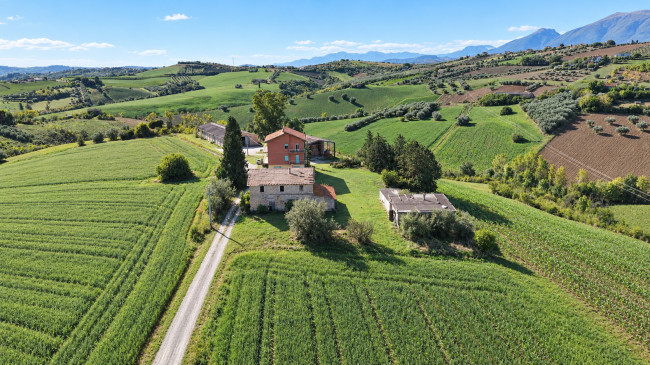 Azienda Agricola in Vendita a Appignano del Tronto