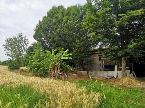 Terreno Agricolo in Vendita a Cassano d'Adda