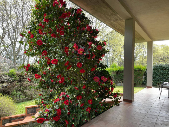 Villa in Vendita a Cassano d'Adda