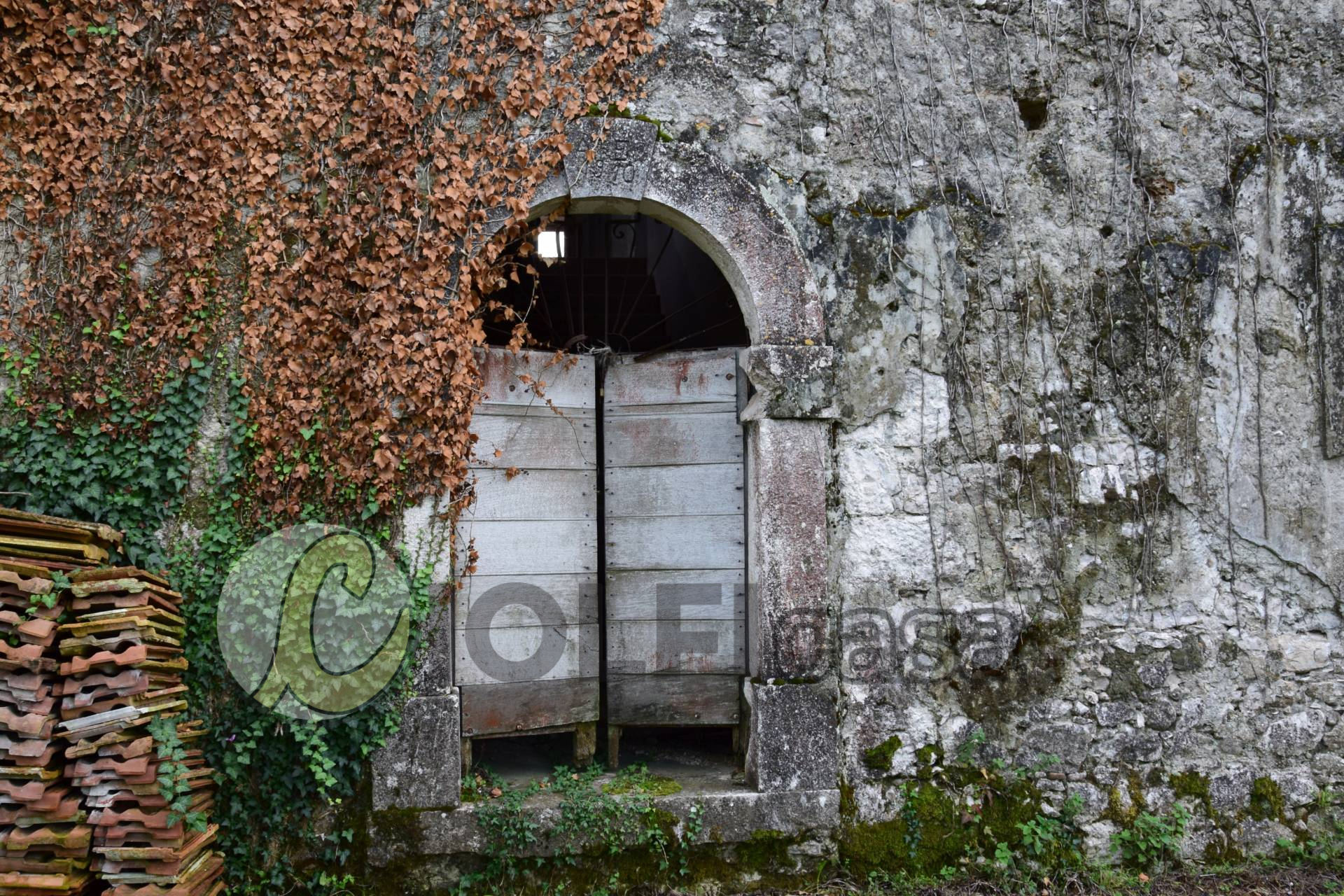 Villa Unifamiliare - Indipendente PIGNATARO INTERAMNA vendita  Ausonia  Ciolfi Casa