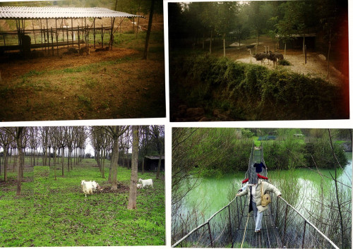 Terreno agricolo in vendita a Sant'angelo In Theodice, Cassino (FR)