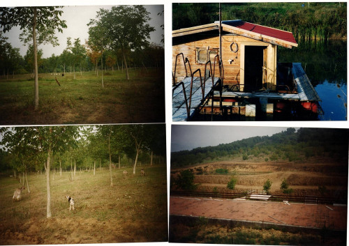 Terreno agricolo in vendita a Sant'angelo In Theodice, Cassino (FR)