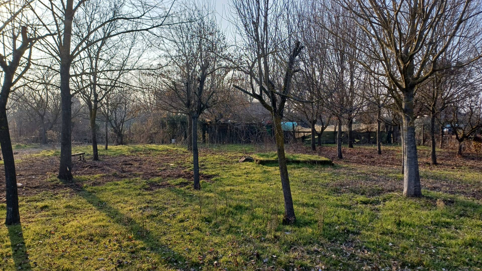 Terreno agricolo in vendita a Sant'antonio, Ravenna (RA)
