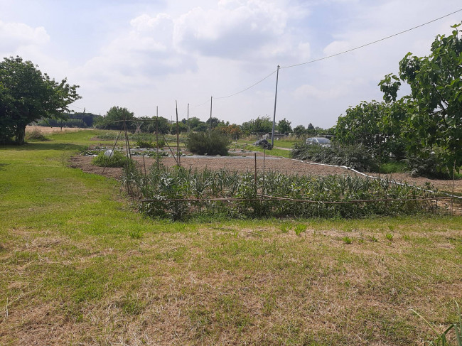 Terreno Agricolo in Vendita a Ravenna