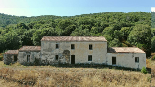 Stazzu gallurese in vendita a Viddalba