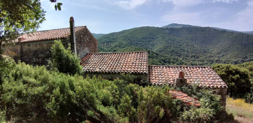 Stazzu gallurese in vendita a Viddalba