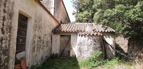Stazzu gallurese in vendita a Viddalba