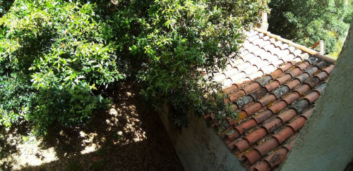 Stazzu gallurese in vendita a Viddalba