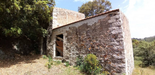 Stazzu gallurese in vendita a Viddalba