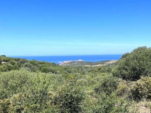 Rustico in vendita a Trinità d'Agultu e Vignola