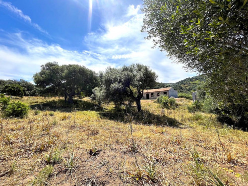 Rustico in vendita a Trinità d'Agultu e Vignola