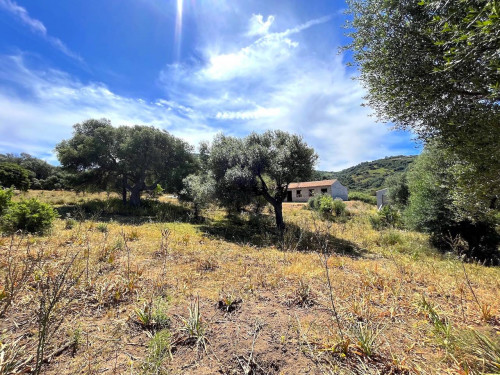Rustico in vendita a Trinità d'Agultu e Vignola
