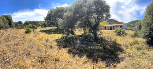 Rustico in vendita a Trinità d'Agultu e Vignola