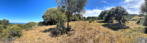 Rustico in vendita a Trinità d'Agultu e Vignola