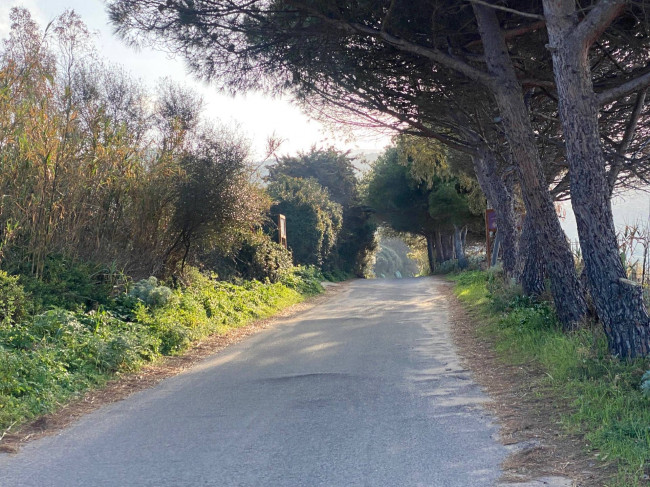 Terreno edificabile in vendita a Badesi