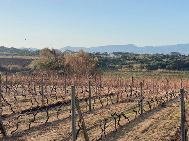 Terreno edificabile in vendita a Badesi