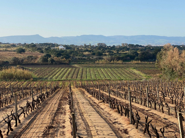 Terreno edificabile in vendita a Badesi