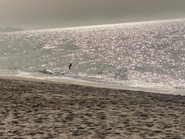 Terreno edificabile in vendita a Badesi