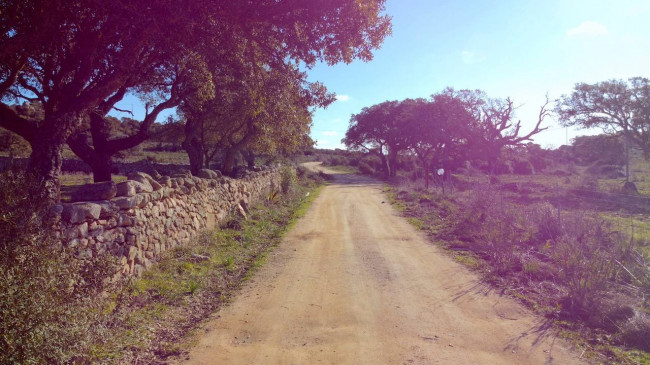 Rustico in vendita a Aglientu