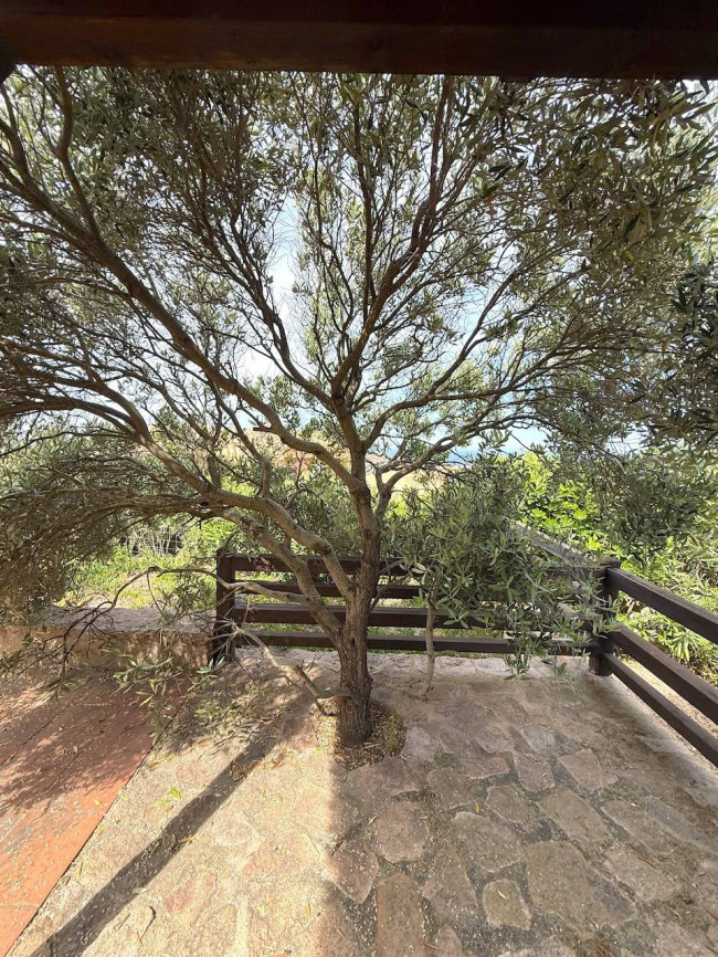  for sale in Trinità d'Agultu e Vignola