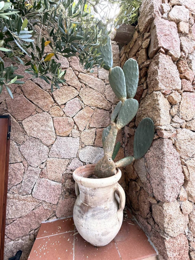  for sale in Trinità d'Agultu e Vignola