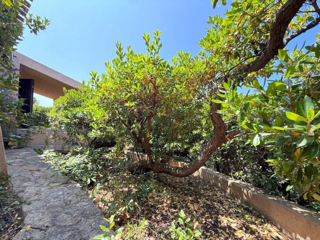 Villa in vendita a Trinità d'Agultu e Vignola
