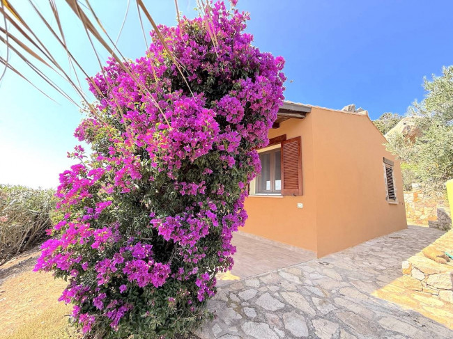  for sale in Trinità d'Agultu e Vignola