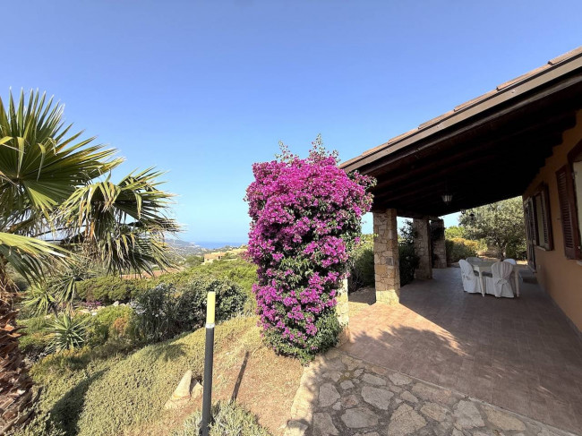  for sale in Trinità d'Agultu e Vignola
