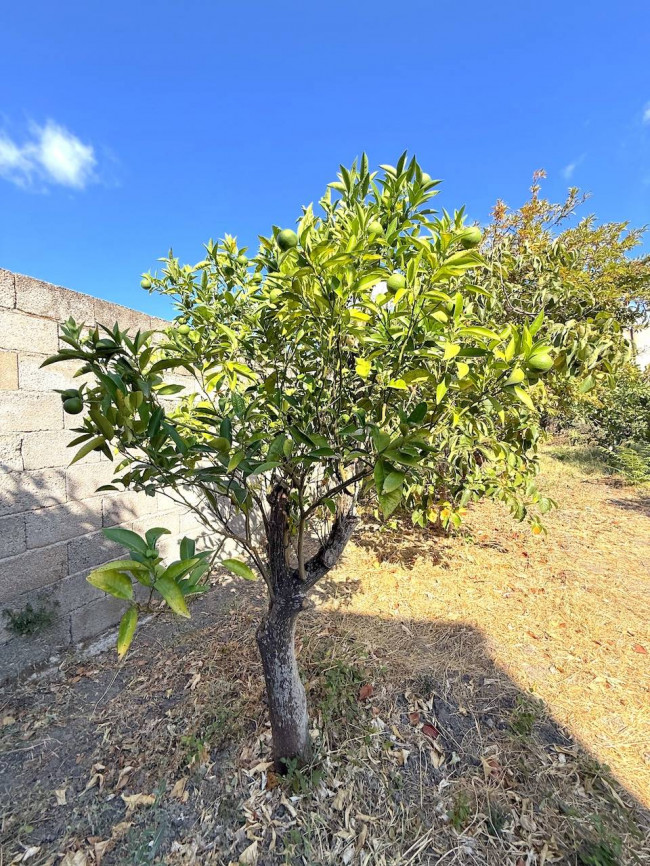 Casa da Ristrutturare in vendita a Perfugas