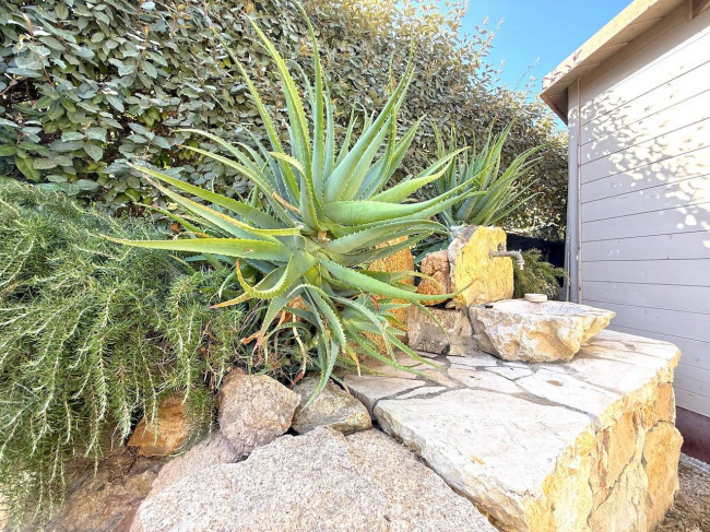 villa singola con terreno in vendita a Badesi