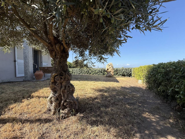 villa singola con terreno in vendita a Badesi