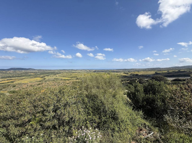 Stazzo Gallurese in vendita a Aglientu