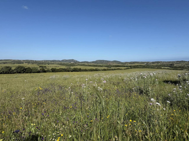 Stazzo Gallurese in vendita a Aglientu
