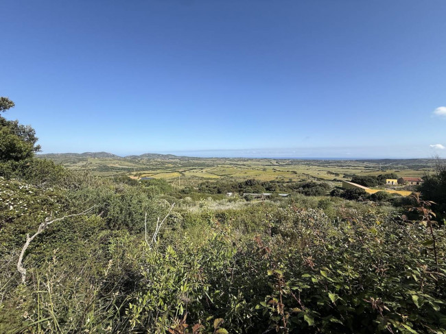 Stazzo Gallurese in vendita a Aglientu