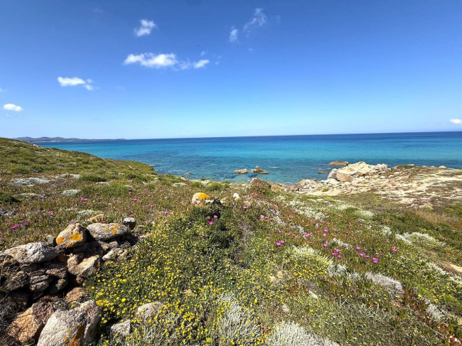 Stazzo Gallurese in vendita a Aglientu