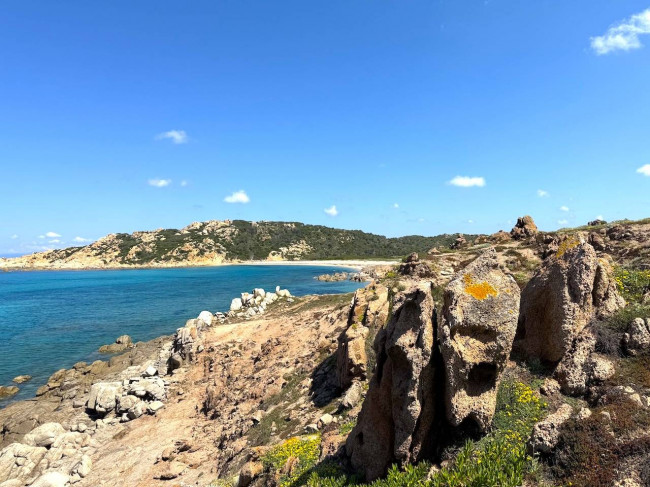 Stazzo Gallurese in vendita a Aglientu