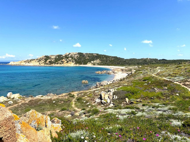 Stazzo Gallurese in vendita a Aglientu