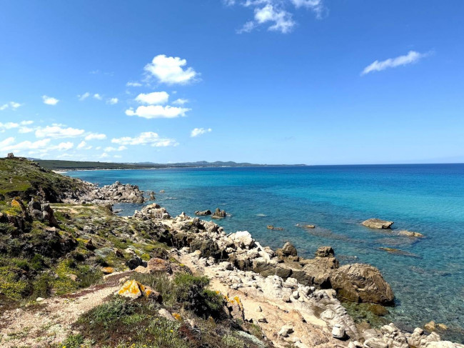 Stazzo Gallurese in vendita a Aglientu