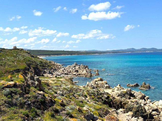 Stazzo Gallurese in vendita a Aglientu