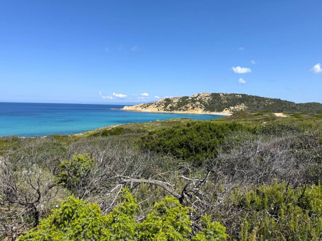 Stazzo Gallurese in vendita a Aglientu