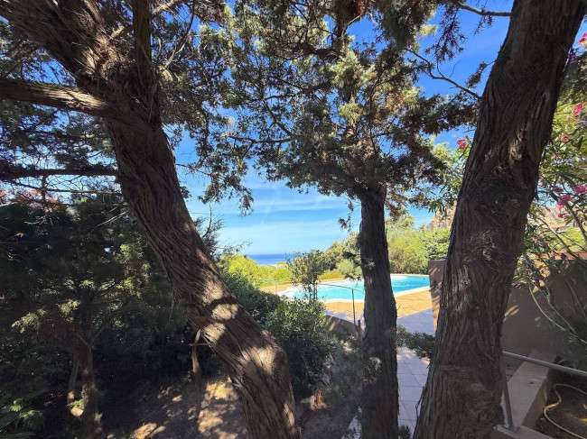  for sale in Trinità d'Agultu e Vignola