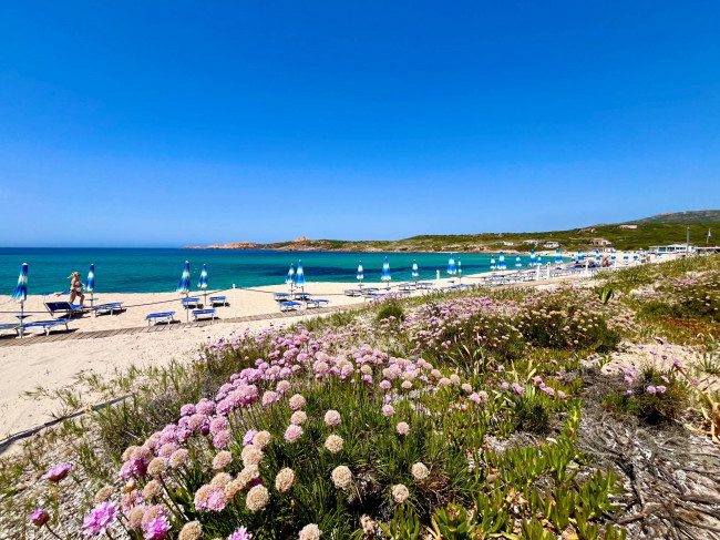 Apartment for sale in Trinità d'Agultu e Vignola