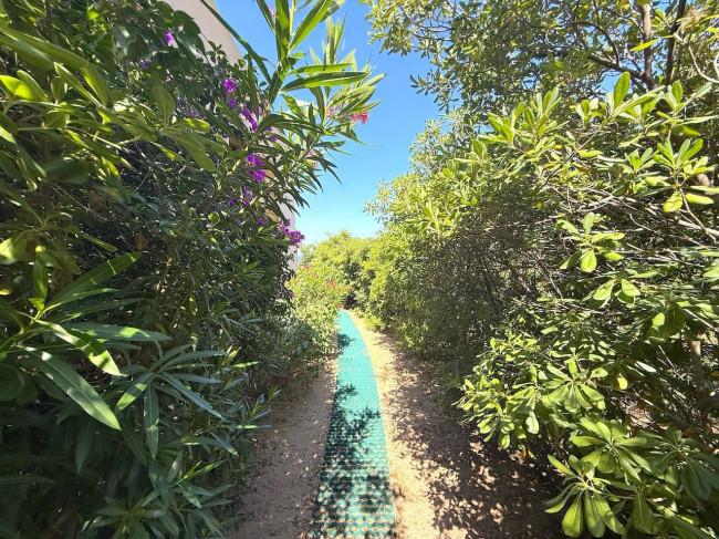 Townhouse for sale in Trinità d'Agultu e Vignola